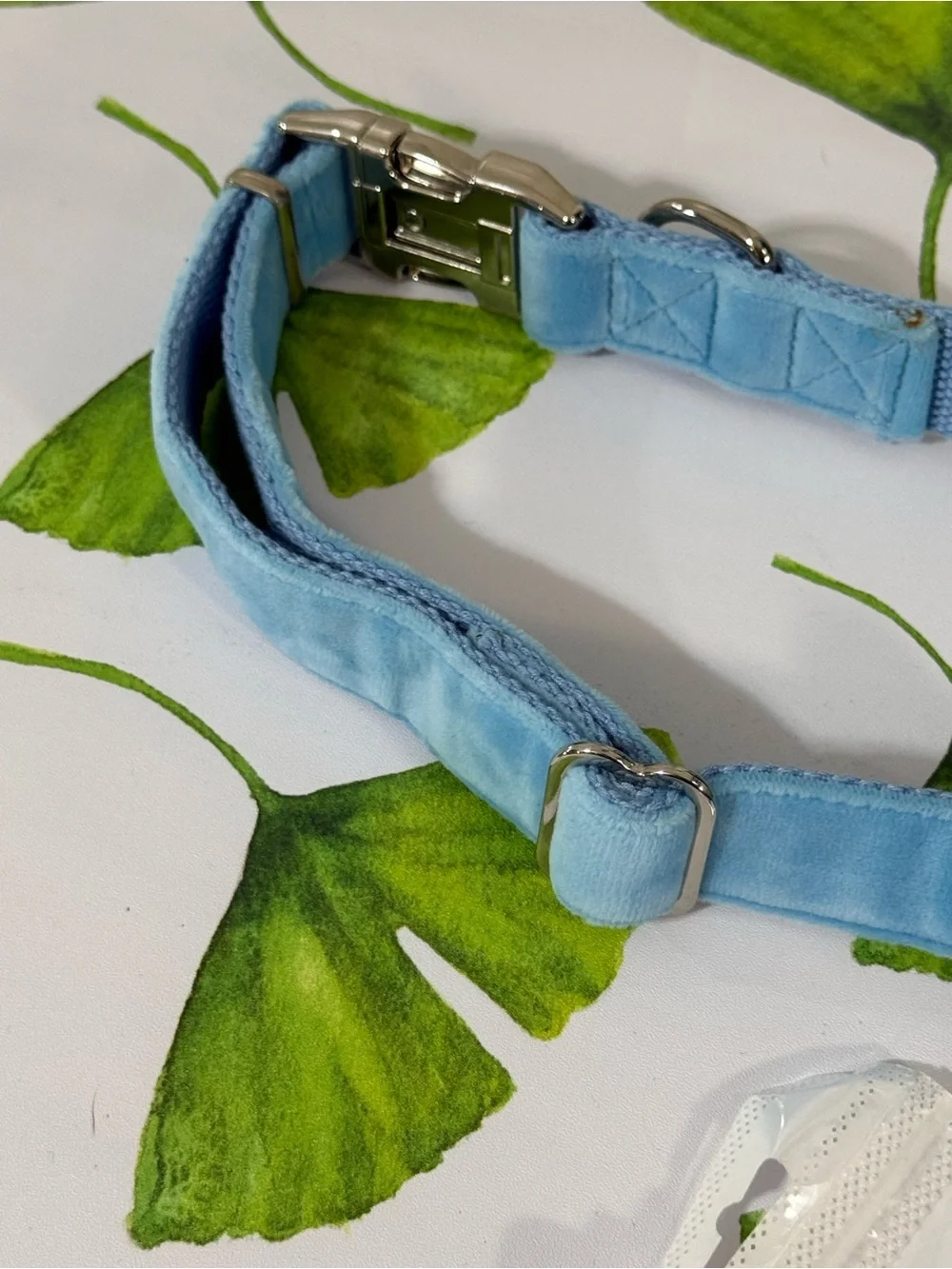 Wander Light Blue Adjustable Dog Collar with Metal Buckle